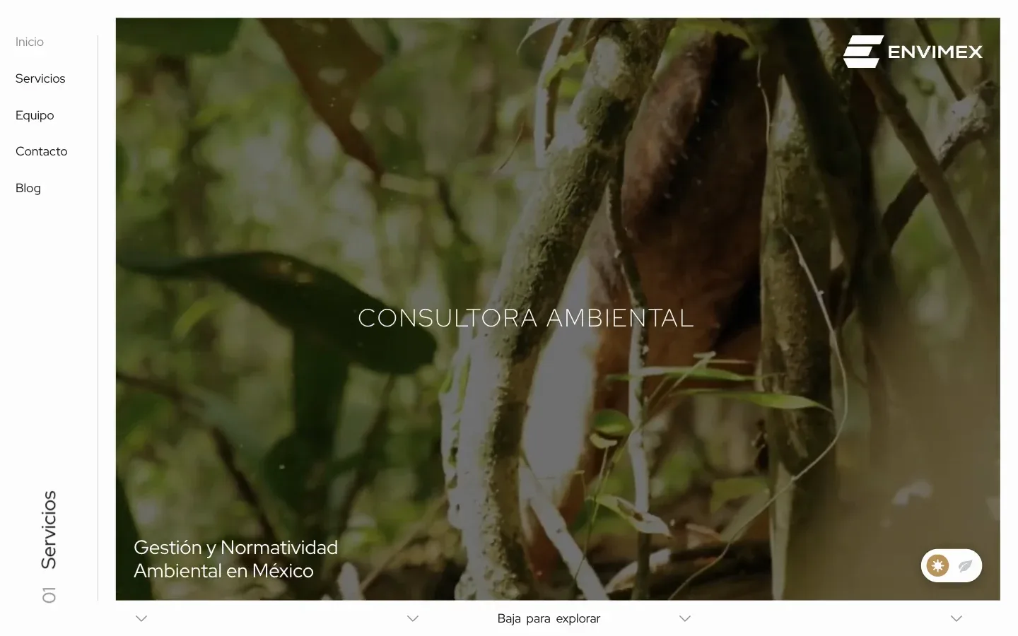 La página de inicio de Envimex con su video de naturaleza, el título Consultora ambiental y navegación vertical