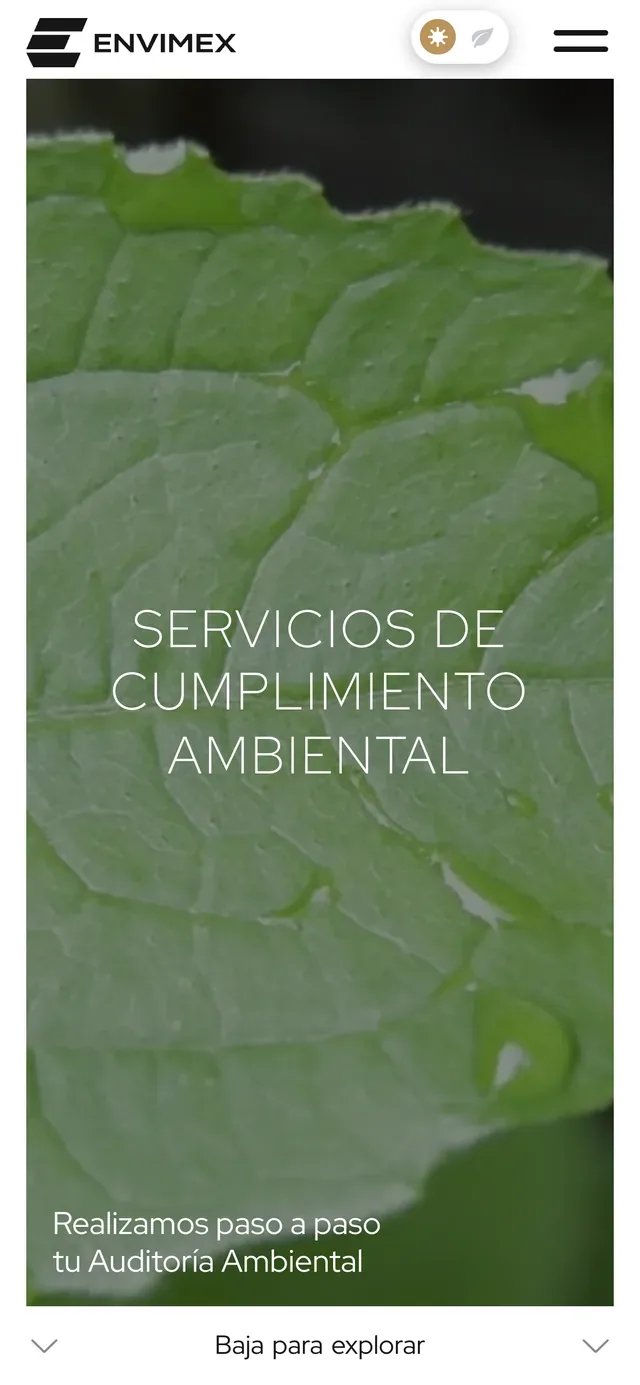 La página de un servicio en un teléfono