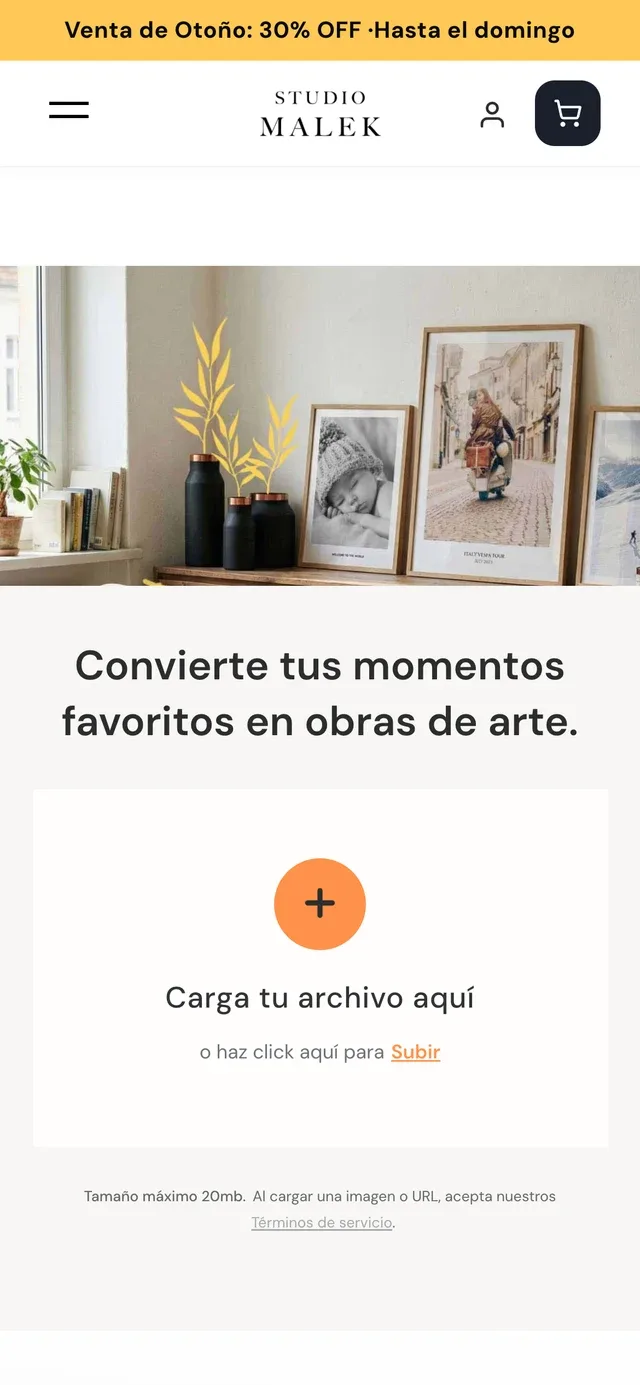 La página para personalizar una foto en un teléfono