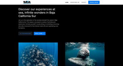 Baja Underwater: Diseño Web Económico para Pequeñas Empresas desktop view