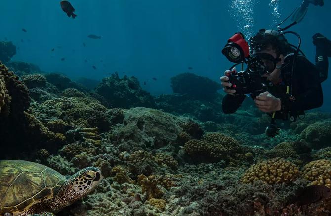 Hero image of Baja Underwater: Web Design for Small Business