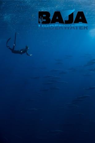 Baja Underwater - Project Image