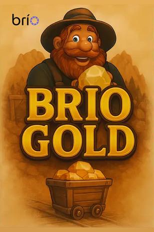 Brío - Project Image