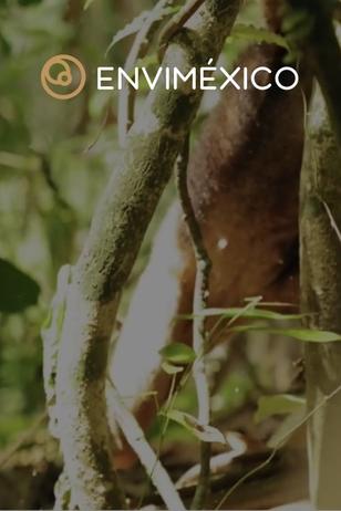 ENVIMÉXICO - Project Image